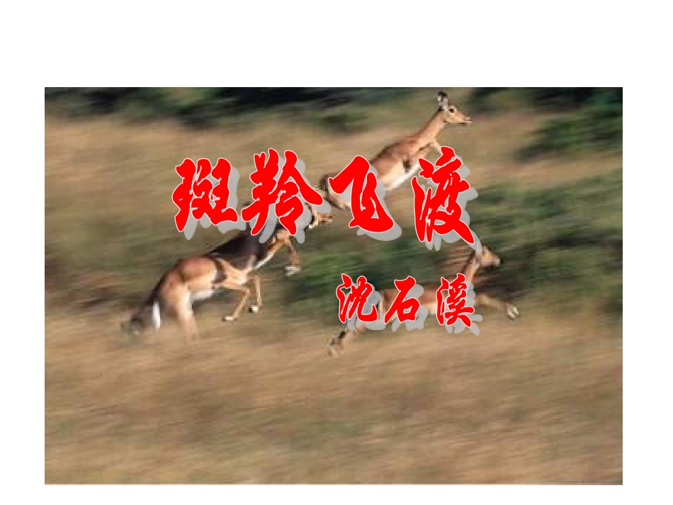《斑羚飞渡》_第1页