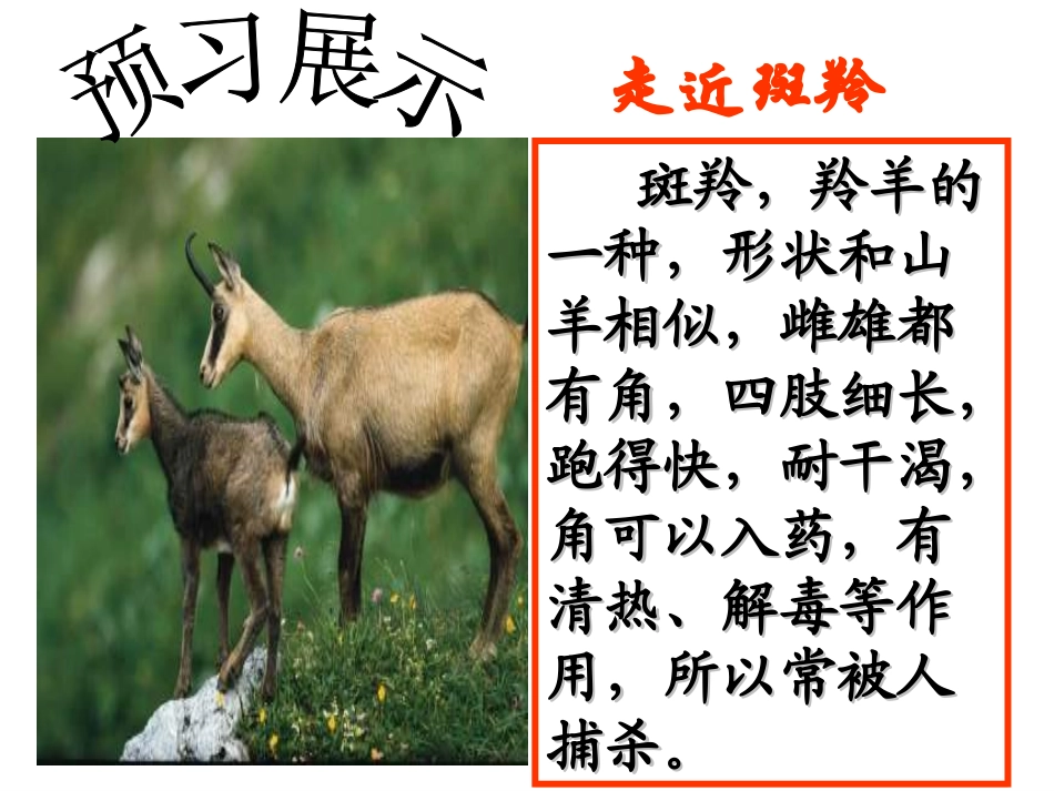 《斑羚飞渡》_第2页