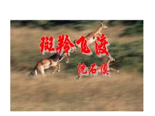 《斑羚飞渡》