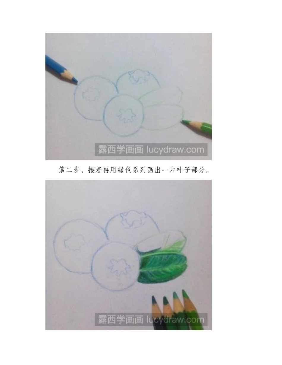 蓝莓彩铅画教程彩铅画教程_第2页