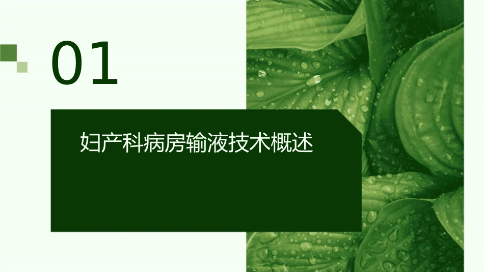 妇产科病房技术常见输液故障处理护理课件_第3页