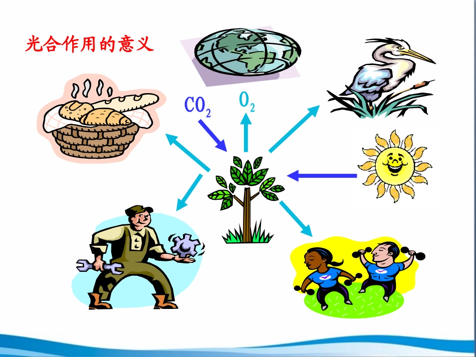 《绿色植物是食物之源》参考课件1_第3页