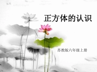 苏教版数学六年级上册《正方体的认识》课件
