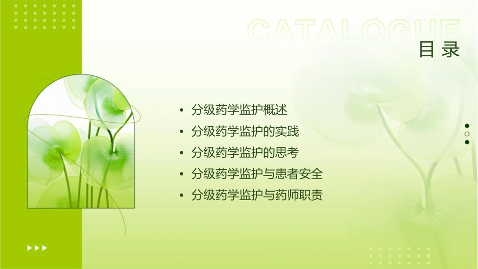 分级药学监护实践与思考徐彦贵课件_第2页