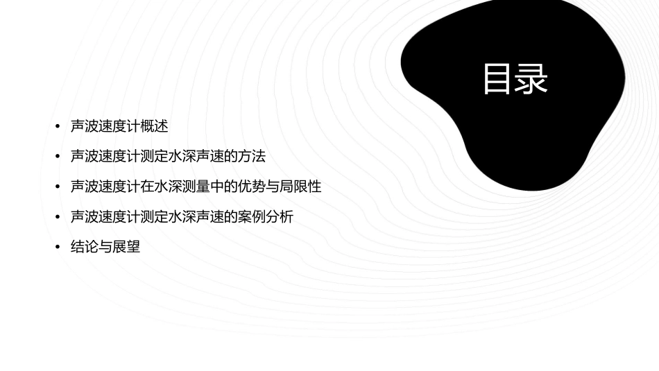 声波速度计可直接测定水深任一点的声速值课件_第2页