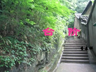 台阶zhou