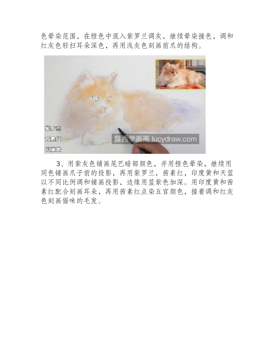 朦胧光线下的猫咪怎么画_有哪些绘画步骤_水彩画教程1_第2页