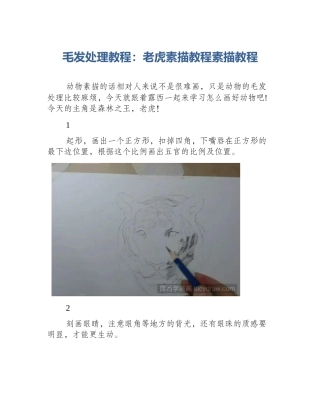 毛发处理教程：老虎素描教程素描教程