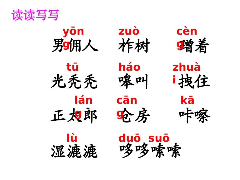《金色的脚印》课件 (3)_第3页