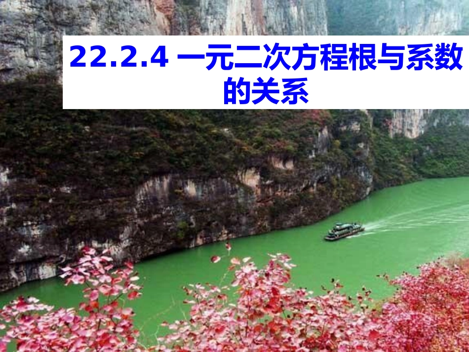 一元二次方程根与系数关系课件_第1页