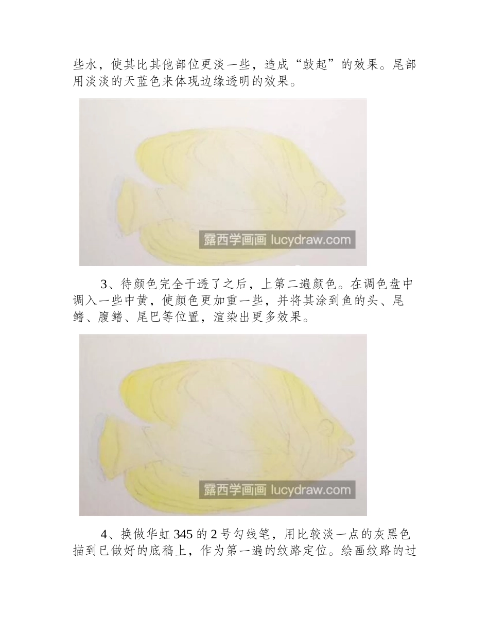 麦氏蝴蝶鱼怎么画_黑风车蝶的画法是什么_水彩画教程_第2页