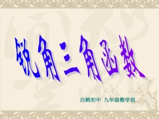 锐角三角函数 (2)