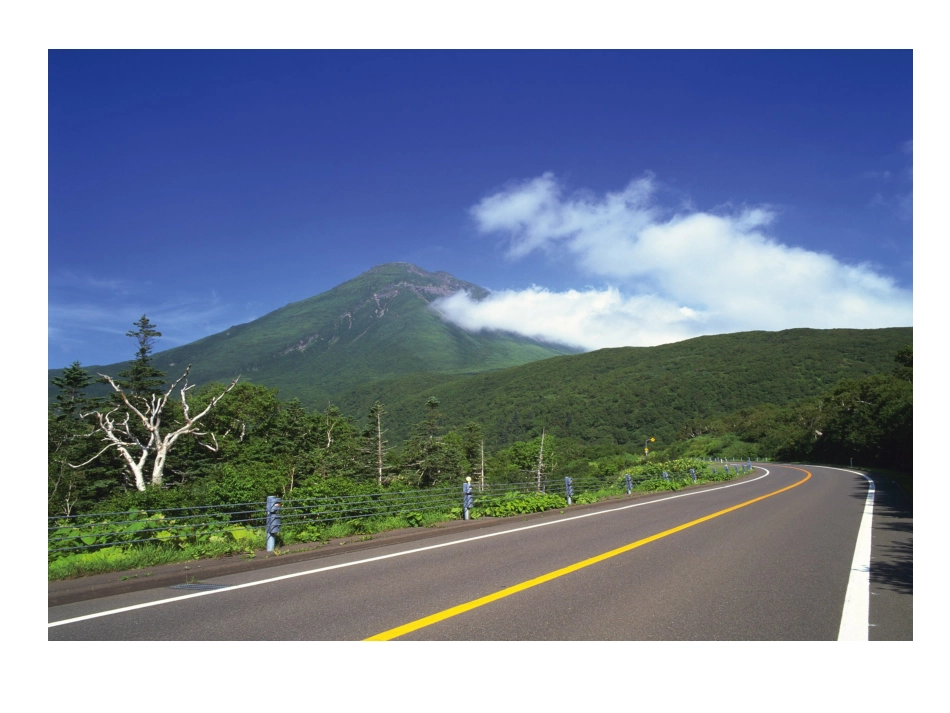 小学数学四年级《植树问题》课件_第3页