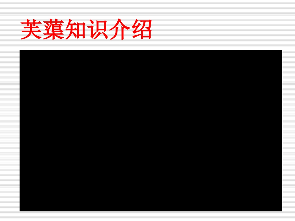 芙蕖自制课件4_第2页