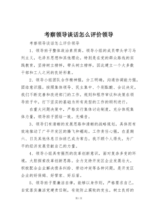 考察领导谈话怎么评价领导