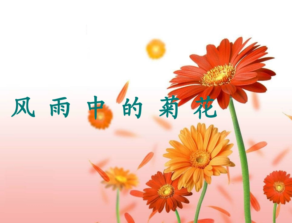 阅读短文复习课_第2页