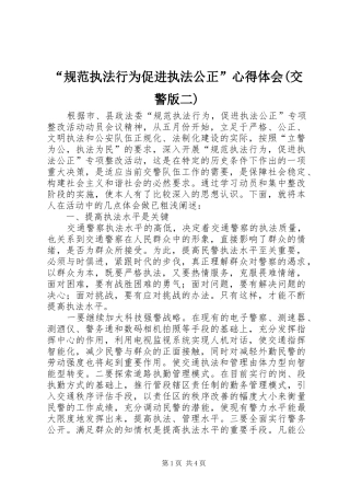 “规范执法行为促进执法公正”心得体会(交警版二) 