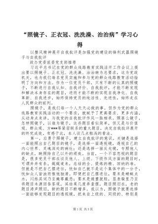 “照镜子、正衣冠、洗洗澡、治治病”学习心得 