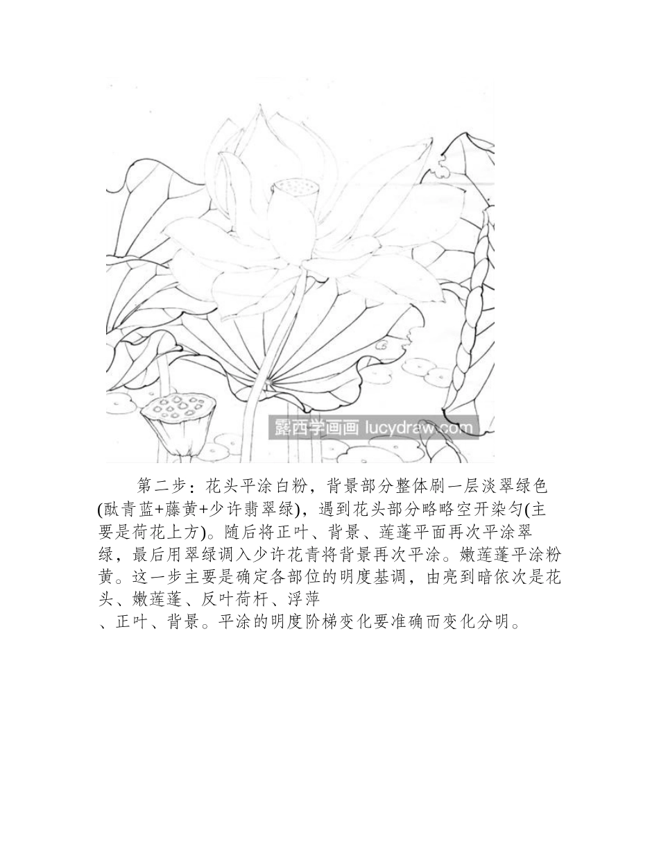 洁白荷花怎么画_如何表现清冷气质_工笔画教程_第2页