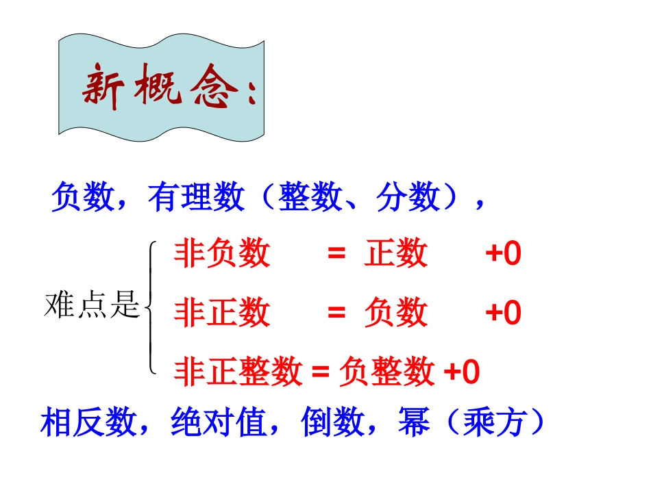 有理数的概念_第2页