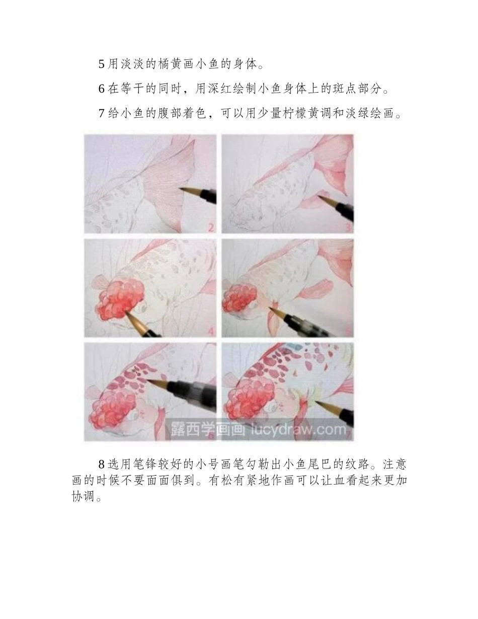 可爱小丑鱼水彩教程水彩画教程_第2页