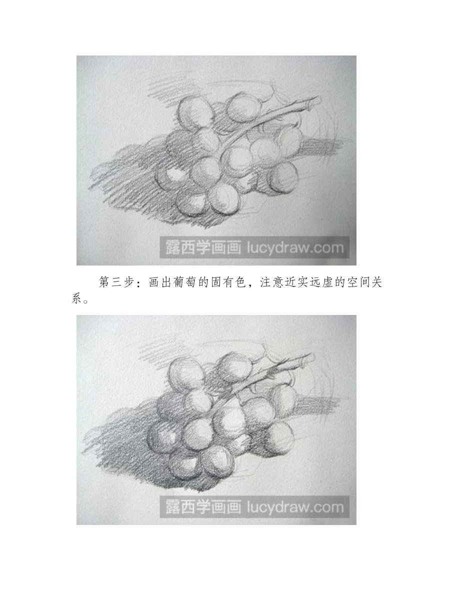 静物素描-葡萄素描教程_第2页