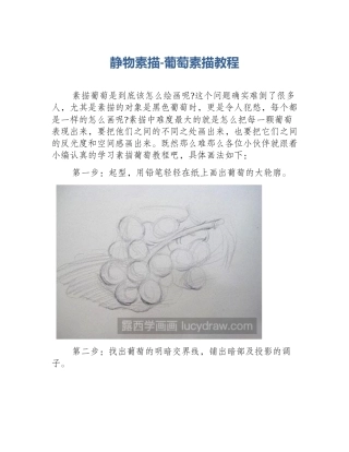 静物素描-葡萄素描教程