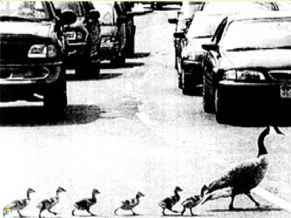 人教版六年级上册第七单元习作《看新闻图片写故事》课件_第2页