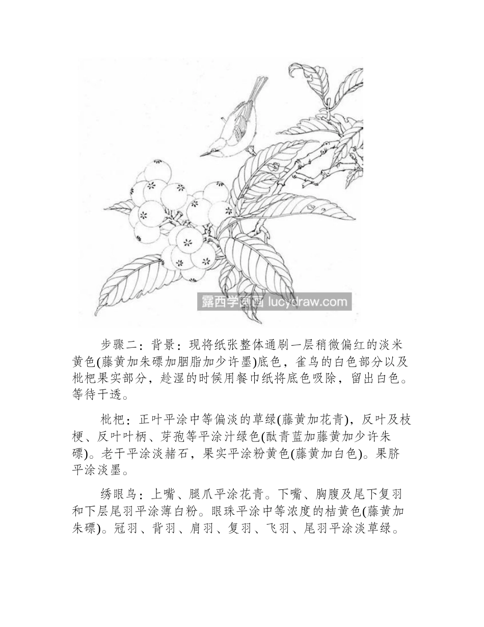 枇杷山鸟怎么画_枇杷的详细绘画过程是什么_工笔画教程_第2页