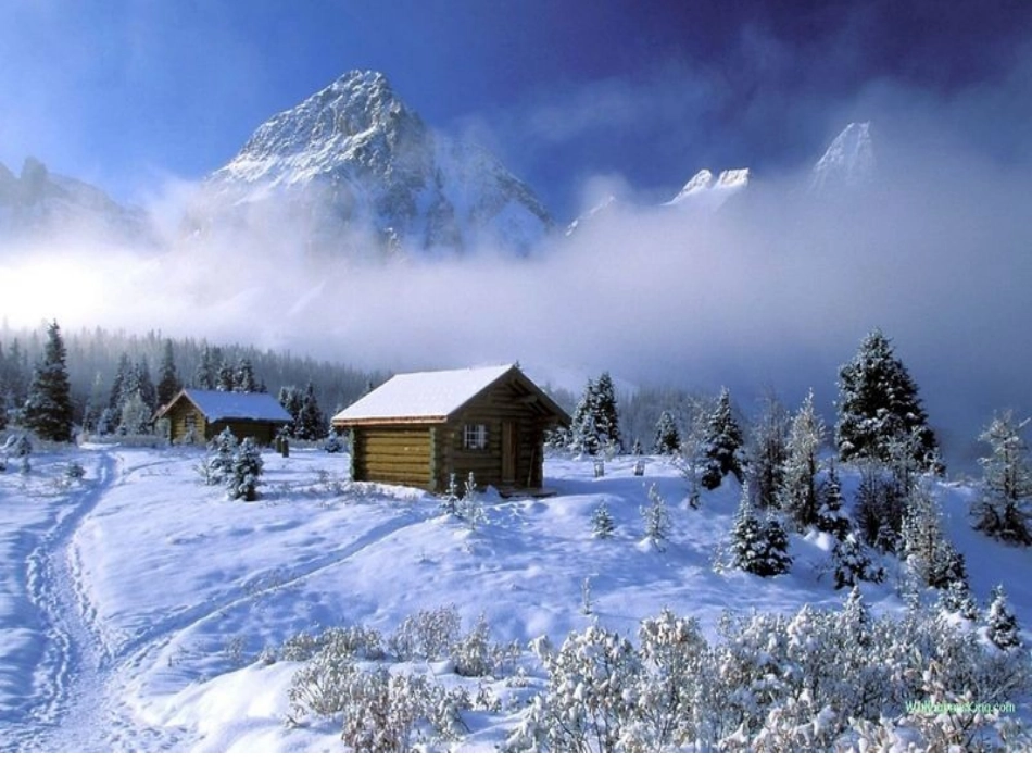 雪地里的小画家课件PPT_第2页
