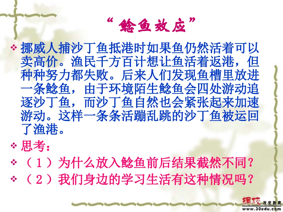 合作带来共赢(上课)_第3页