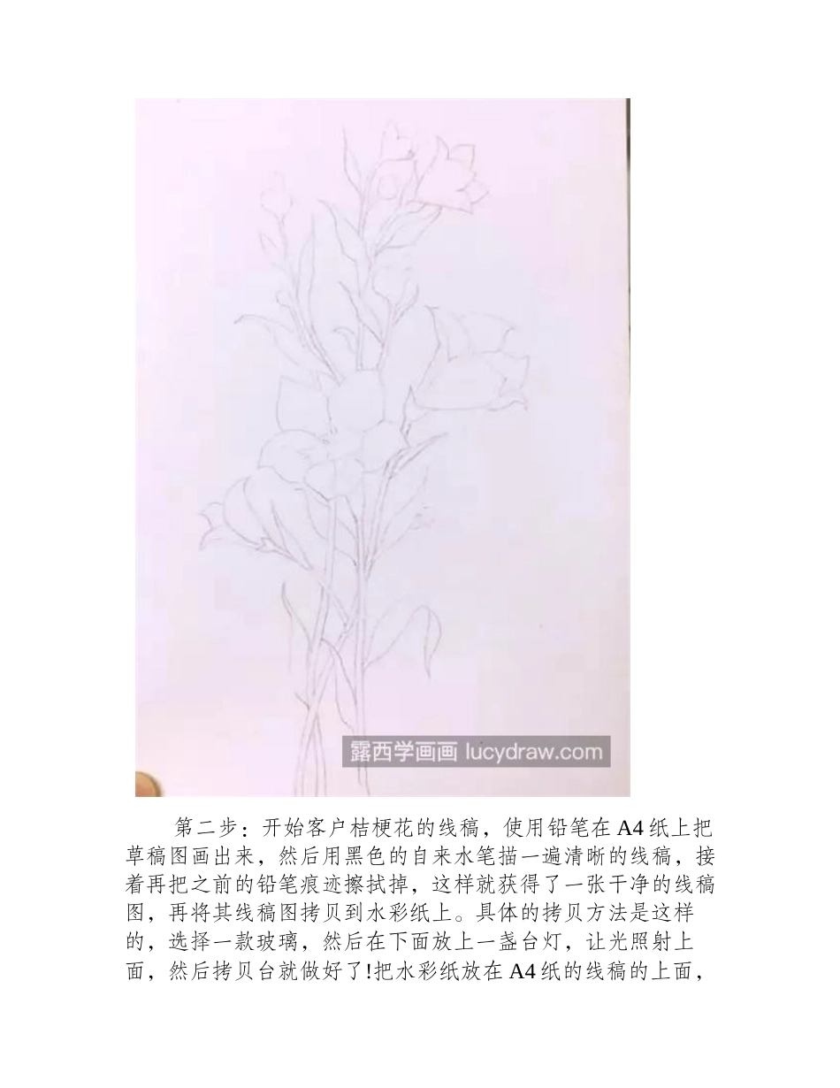 桔梗花怎么画_具体的水彩画步骤是什么_水彩画教程_第2页