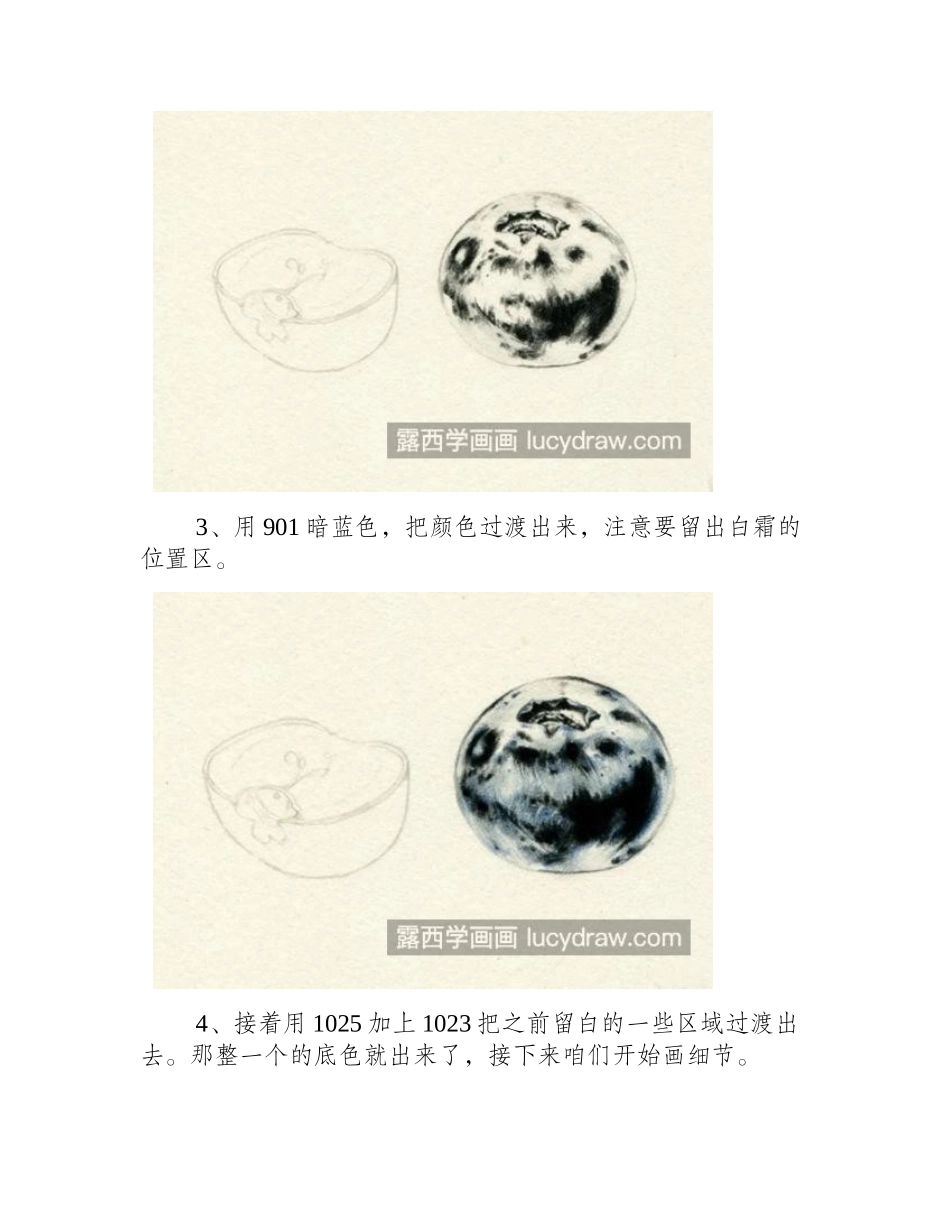 蓝莓怎么画_如何画蓝莓切面_彩铅画教程_第2页