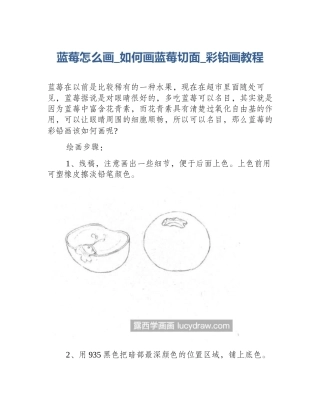 蓝莓怎么画_如何画蓝莓切面_彩铅画教程