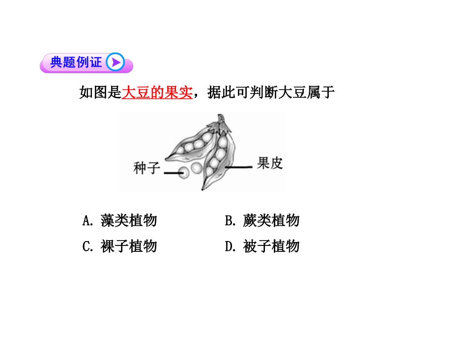 生物专题复习选择题解题技法1_第3页