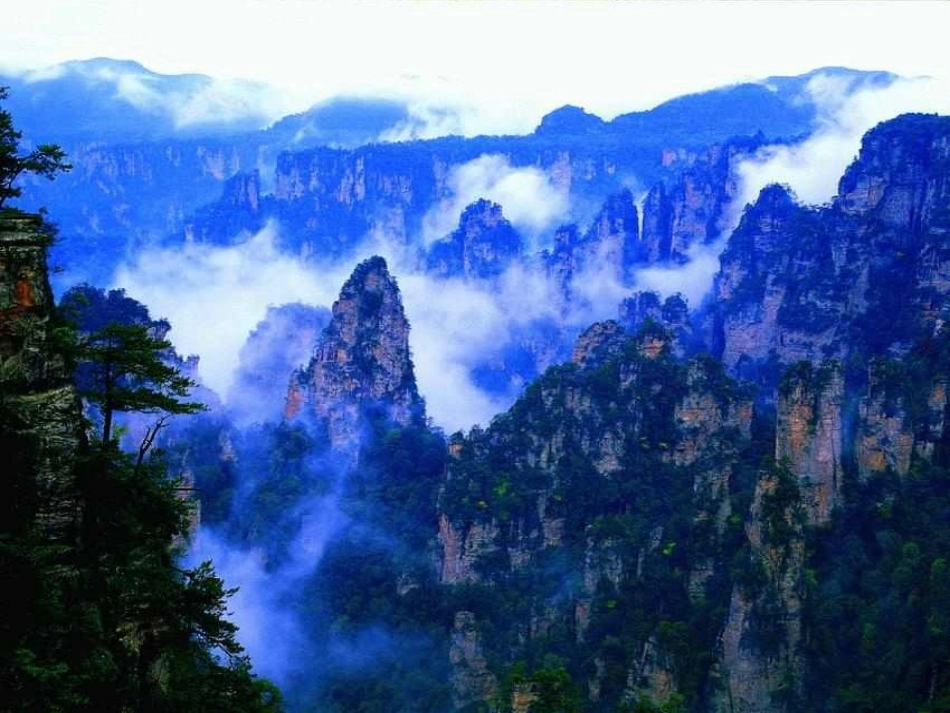 索溪峪的野12_第3页