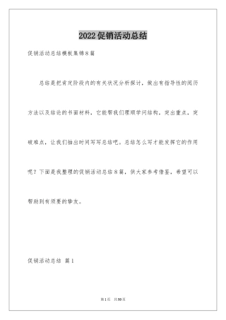 2024促销活动总结_29