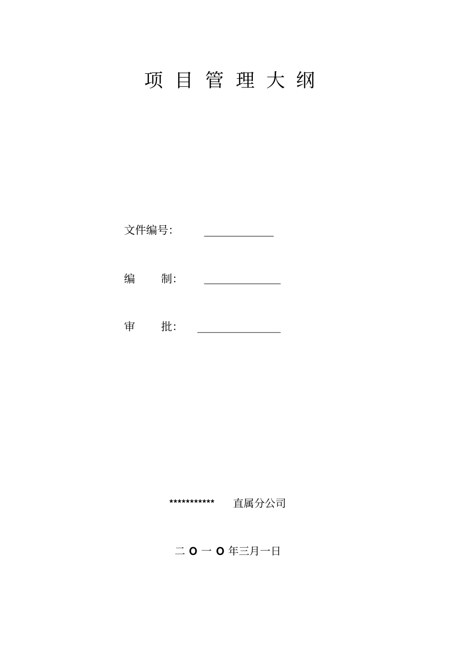 217405项目管理大纲_第1页