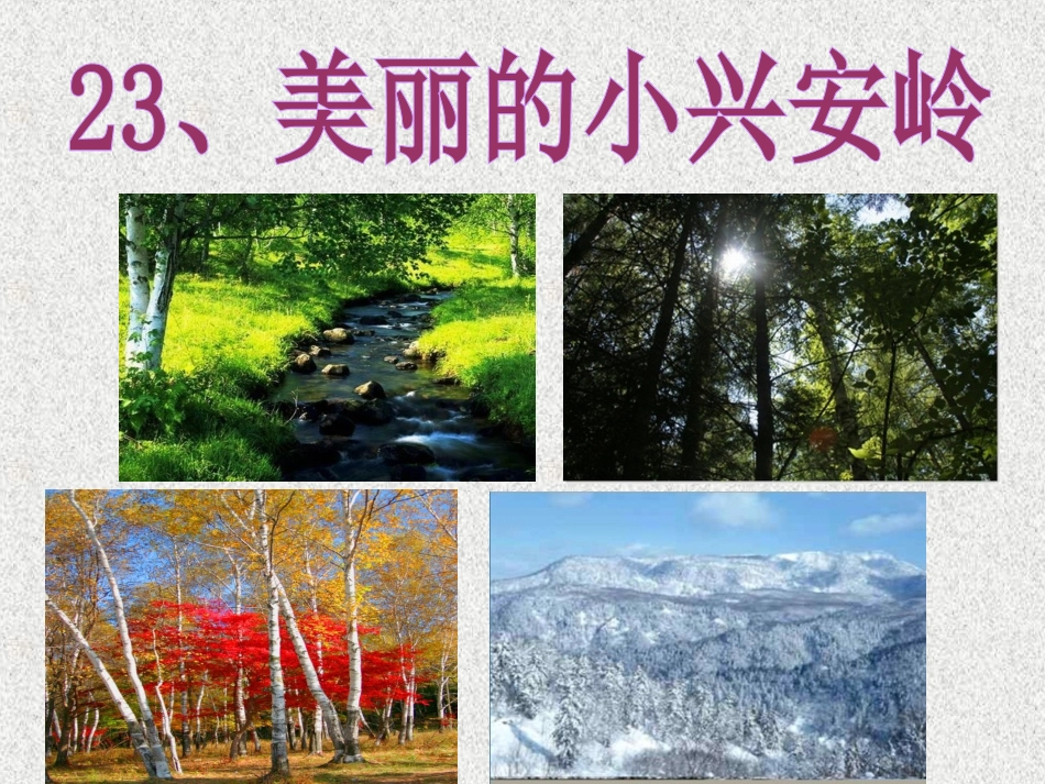《美丽的小兴安岭》第一课时课件_第1页