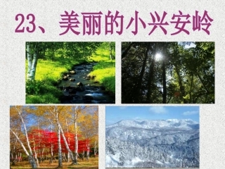 《美丽的小兴安岭》第一课时课件