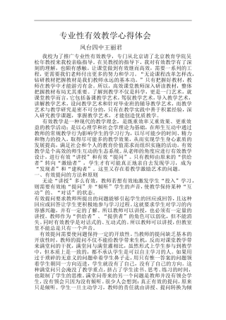 专业性有效教学心得体会