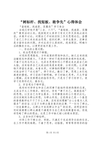 “树标杆、找短板、敢争先”心得体会 