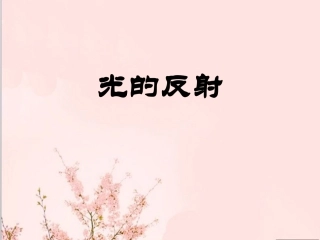 《光的反射》课件1