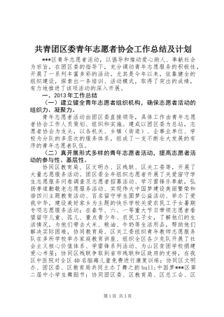 共青团区委青年志愿者协会工作总结及计划