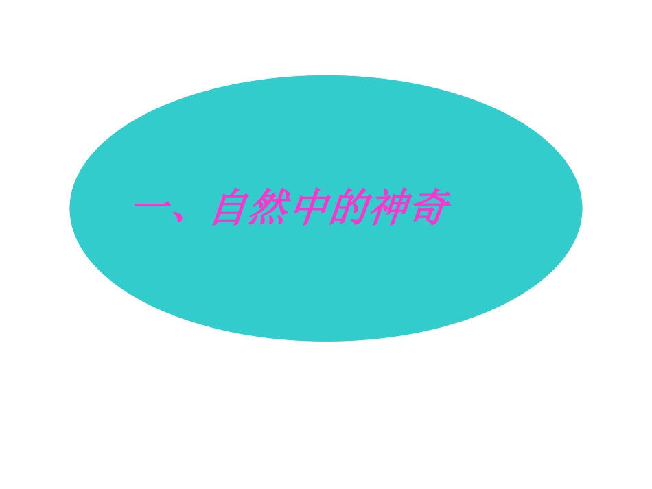 《11走进神奇》_第2页