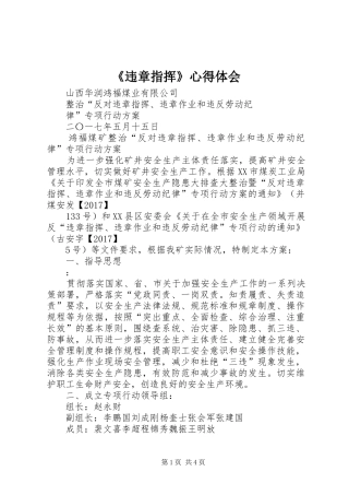 《违章指挥》心得体会 