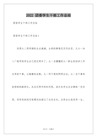 2024 团委学生干部工作总结