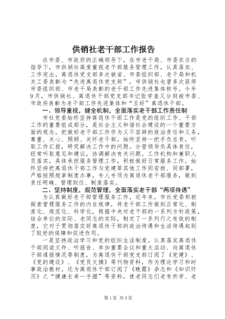 供销社老干部工作报告