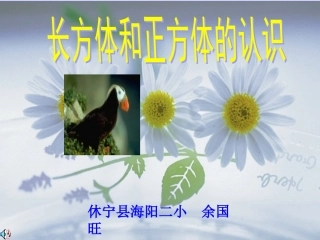 长方体和正方体的认识1