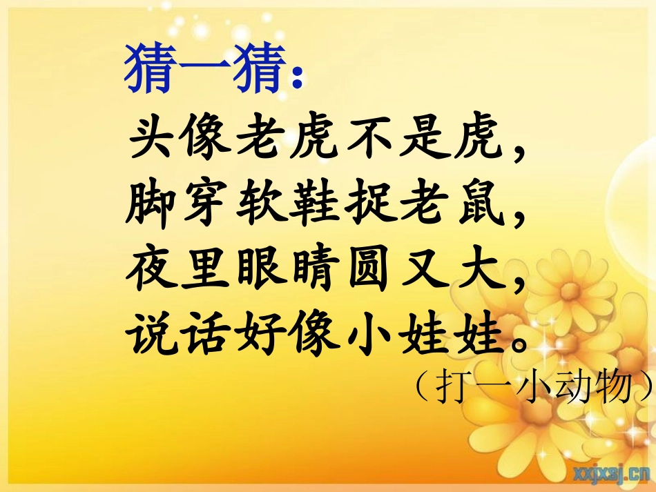 《猫》老舍(公开课课件)_第2页